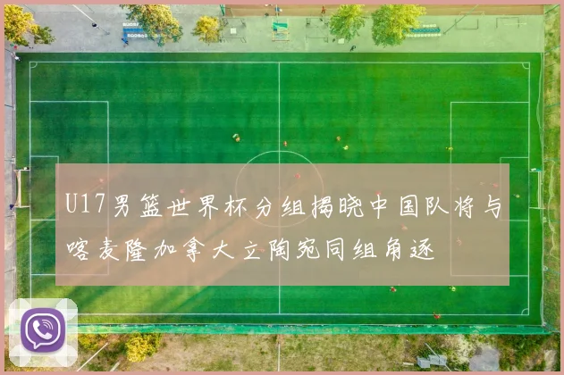 U17男篮世界杯分组揭晓中国队将与喀麦隆加拿大立陶宛同组角逐